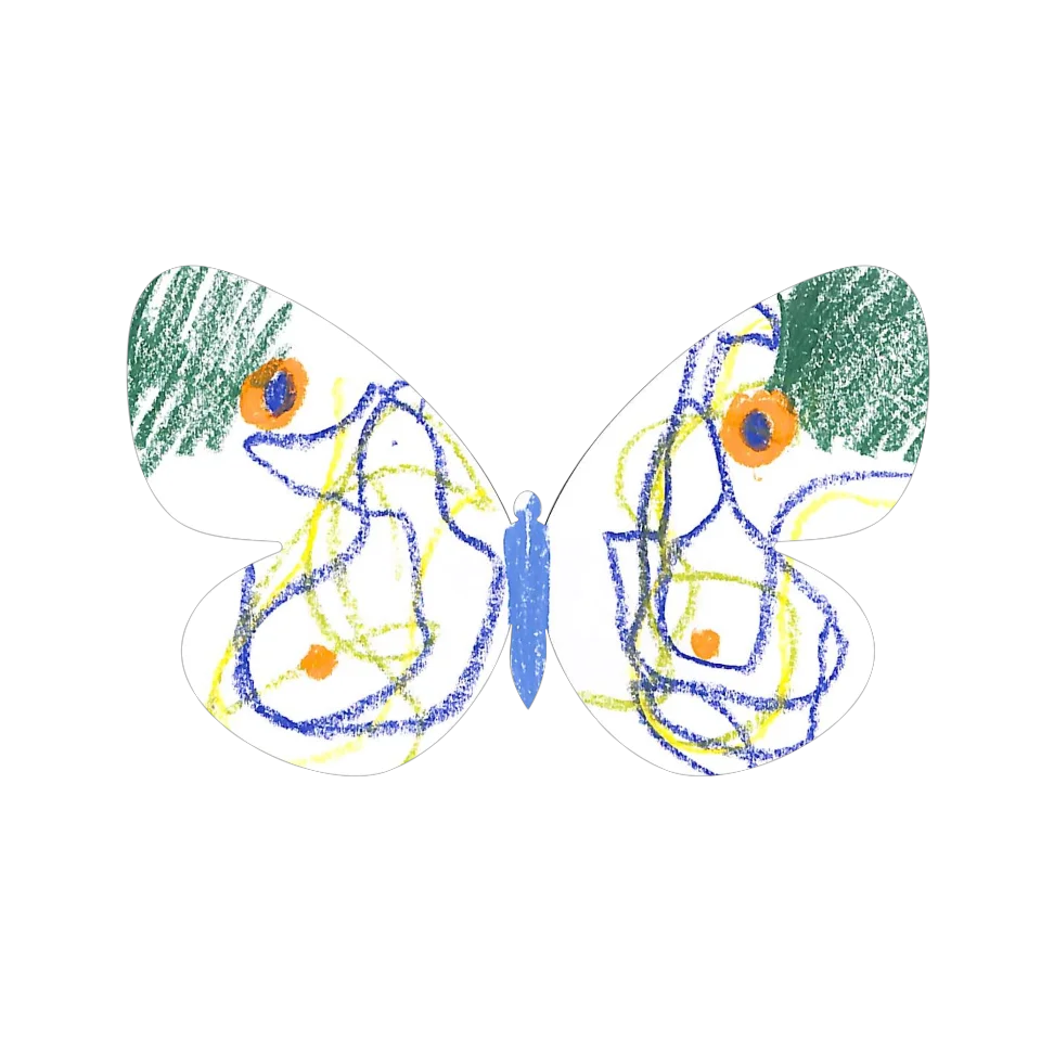 Original Butterfly Image