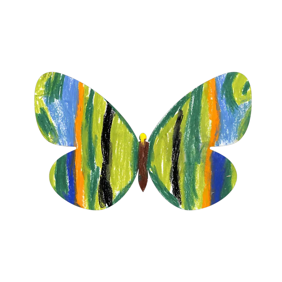 Original Butterfly Image