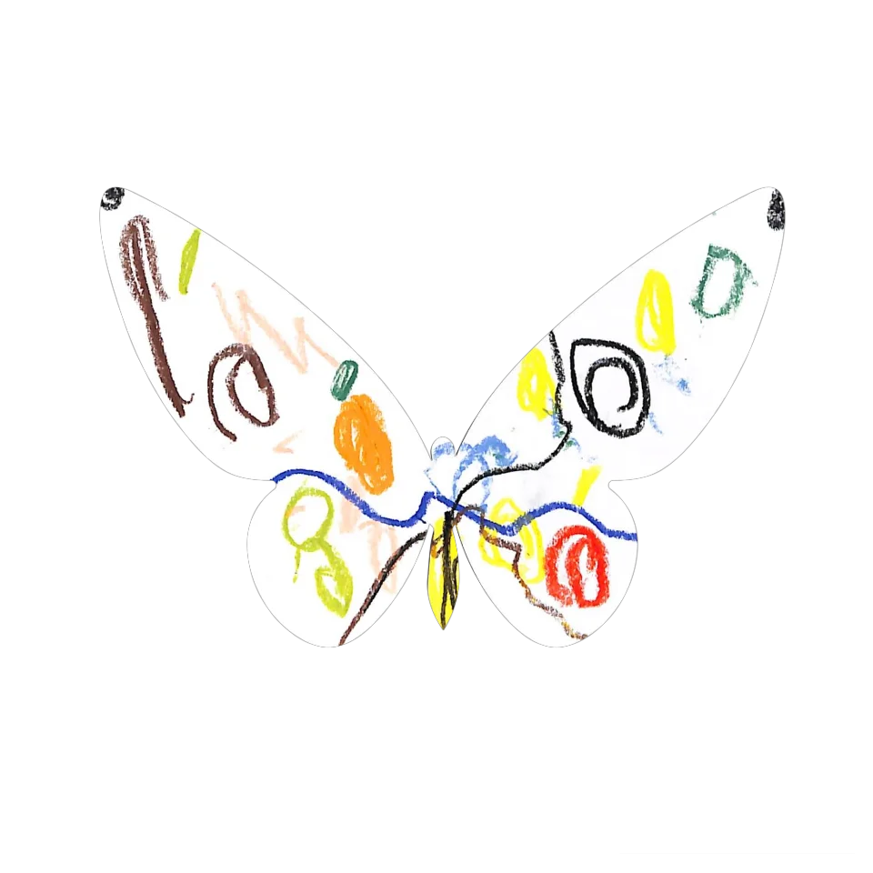 Original Butterfly Image