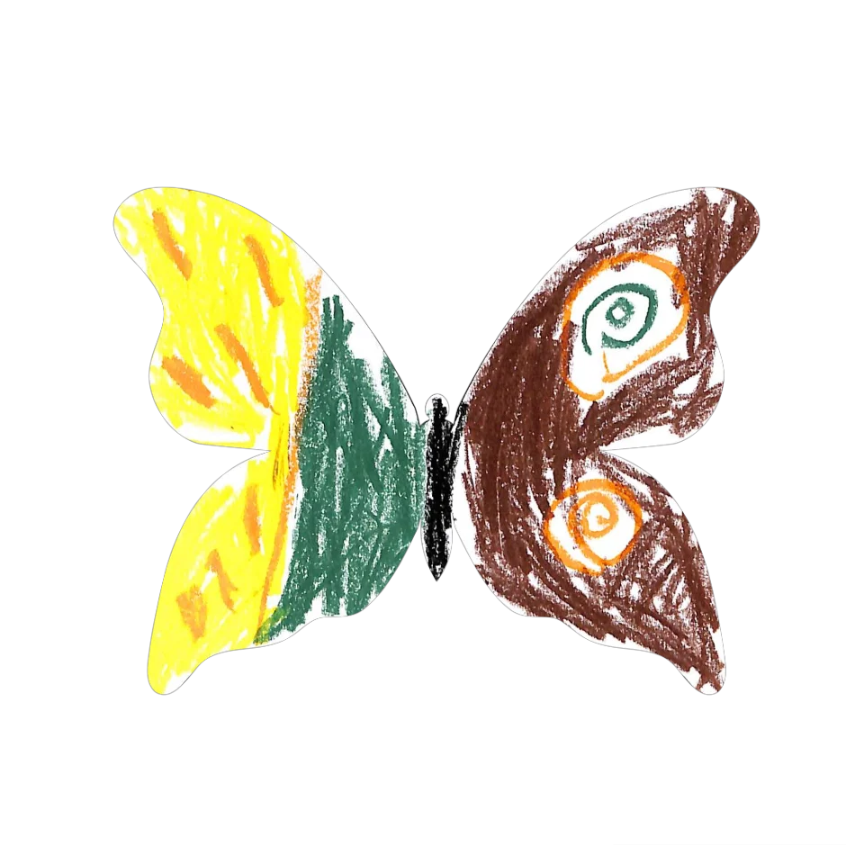Original Butterfly Image