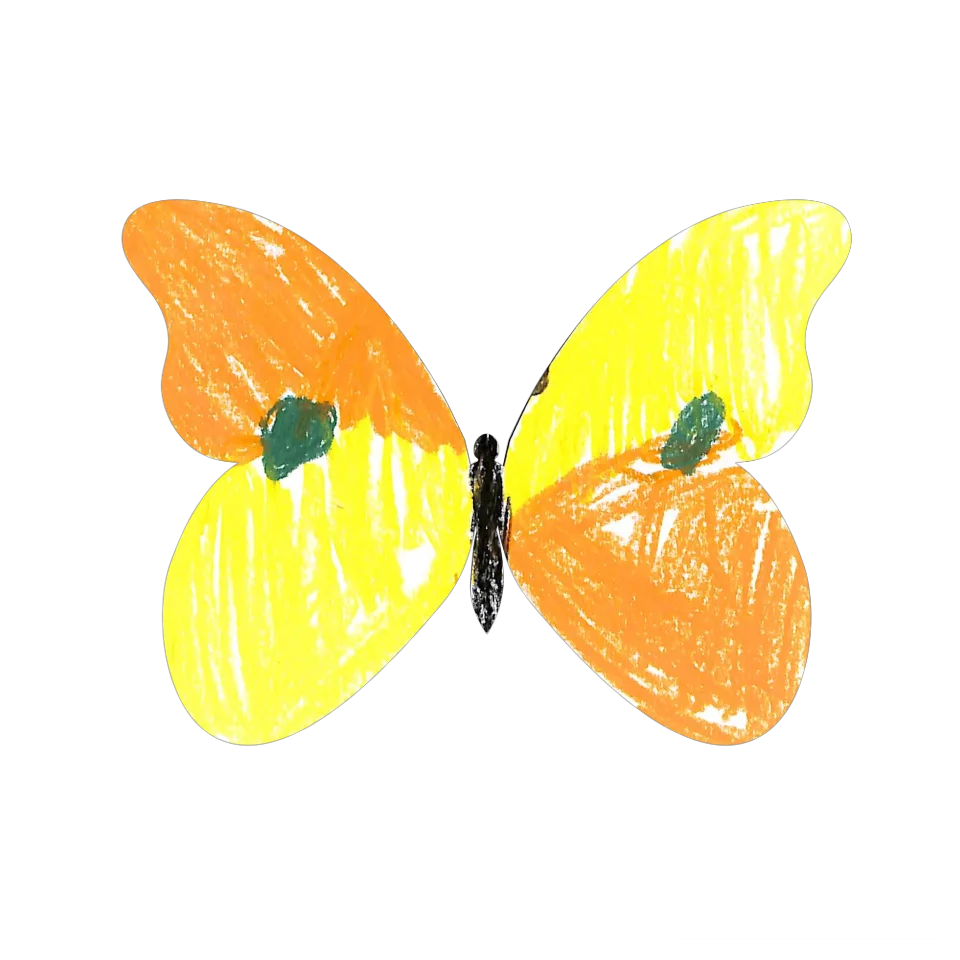 Original Butterfly Image