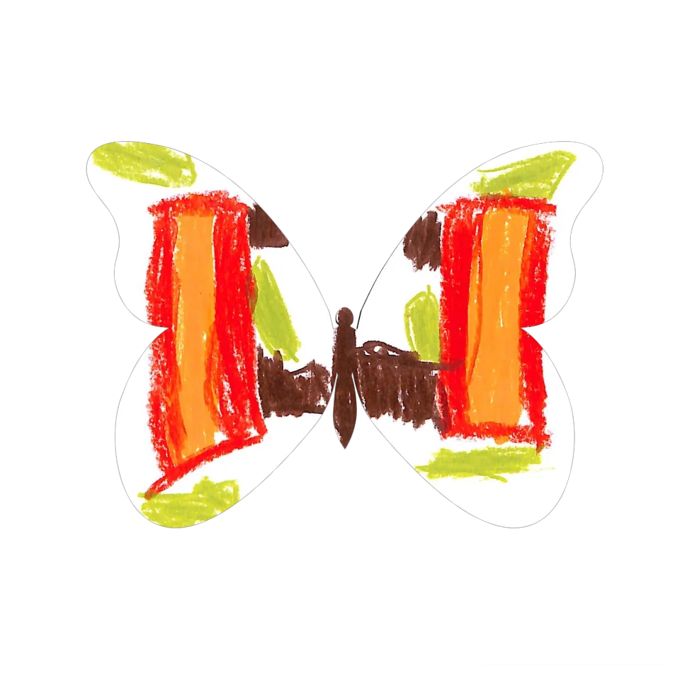 Original Butterfly Image