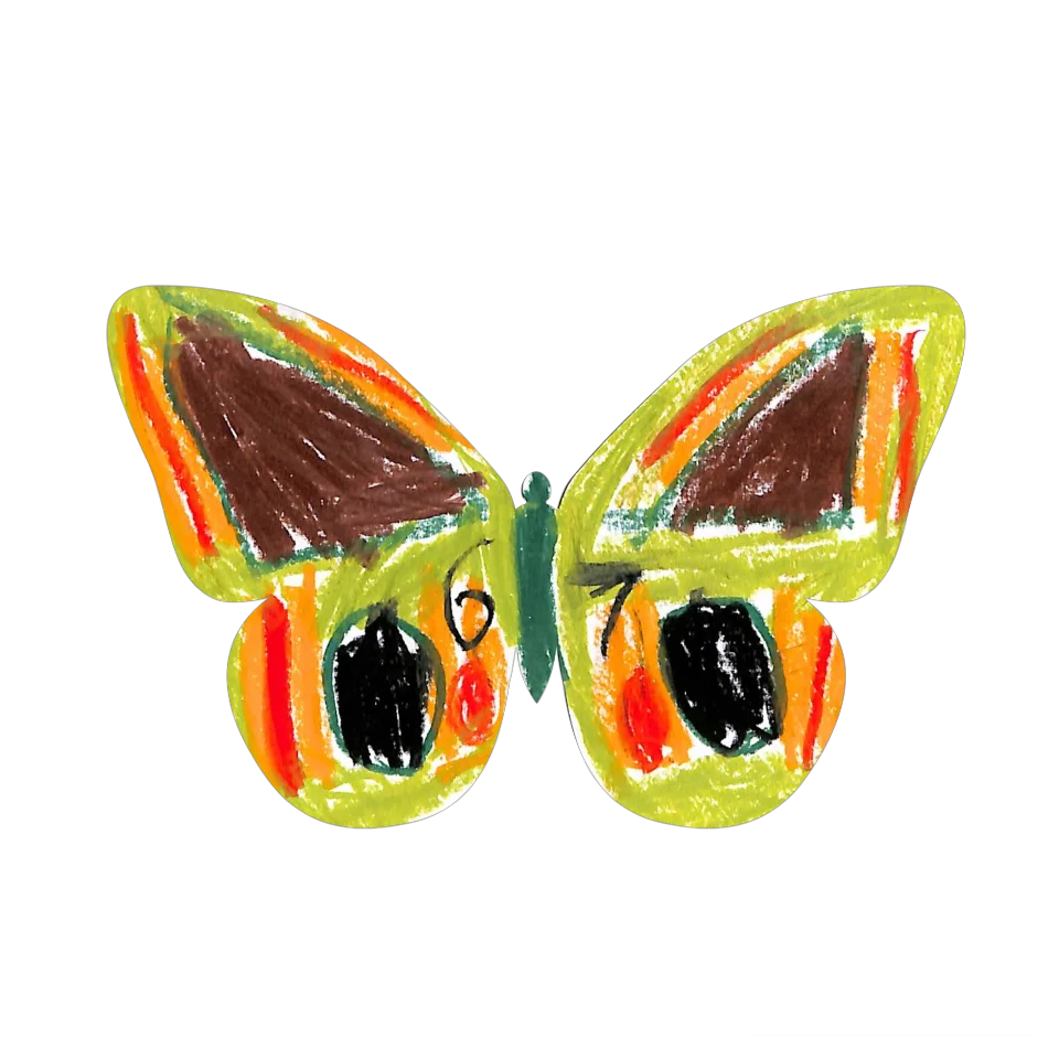 Original Butterfly Image