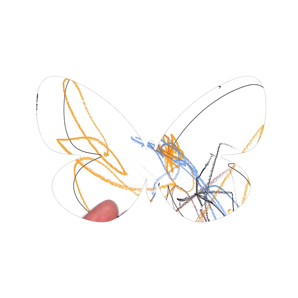 Original Butterfly Image