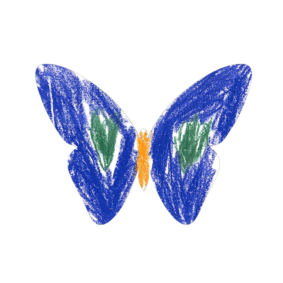 Original Butterfly Image