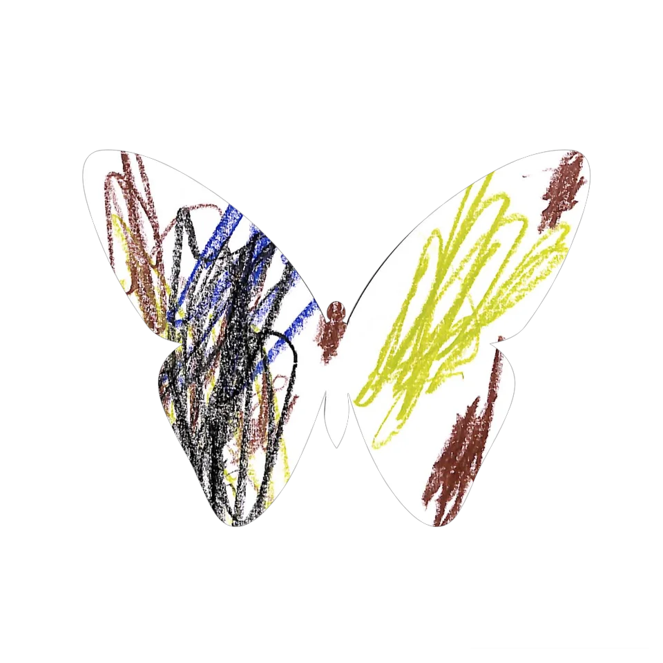 Original Butterfly Image