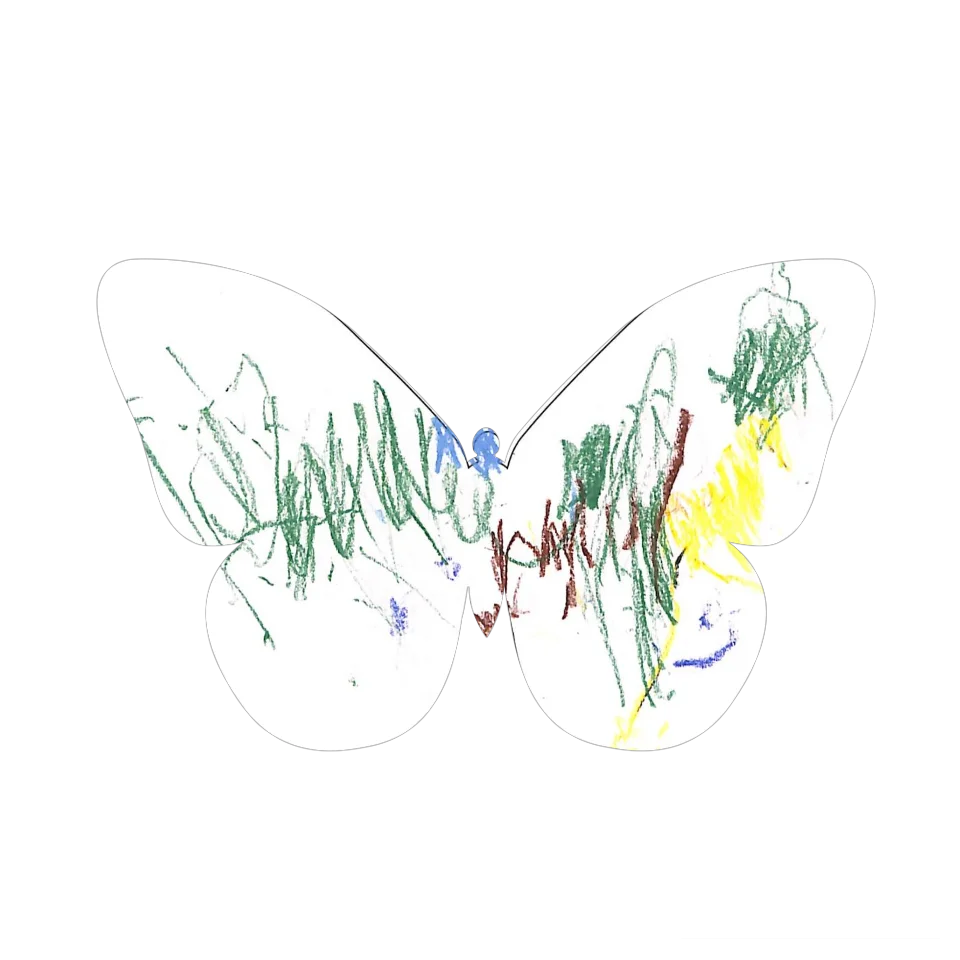 Original Butterfly Image