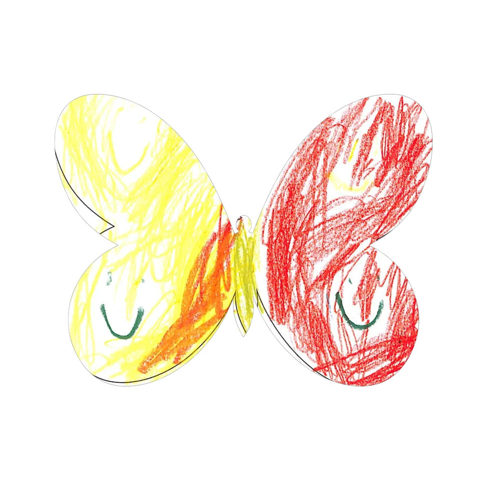 Original Butterfly Image