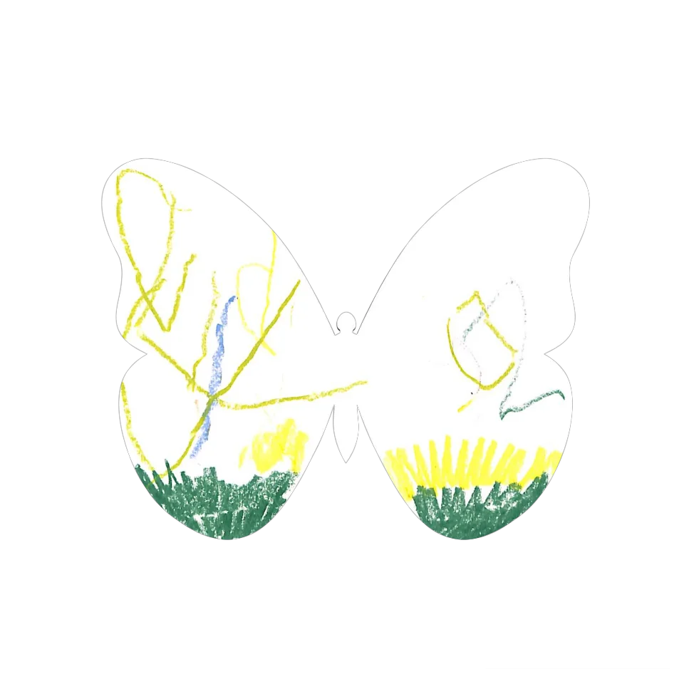 Original Butterfly Image