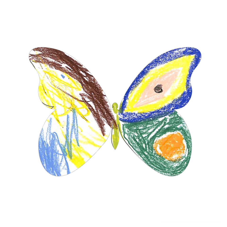 Original Butterfly Image