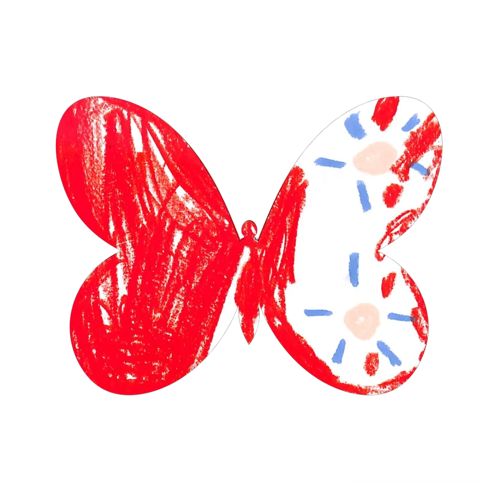 Original Butterfly Image