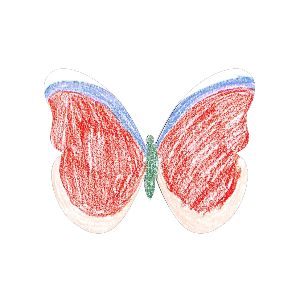 Original Butterfly Image