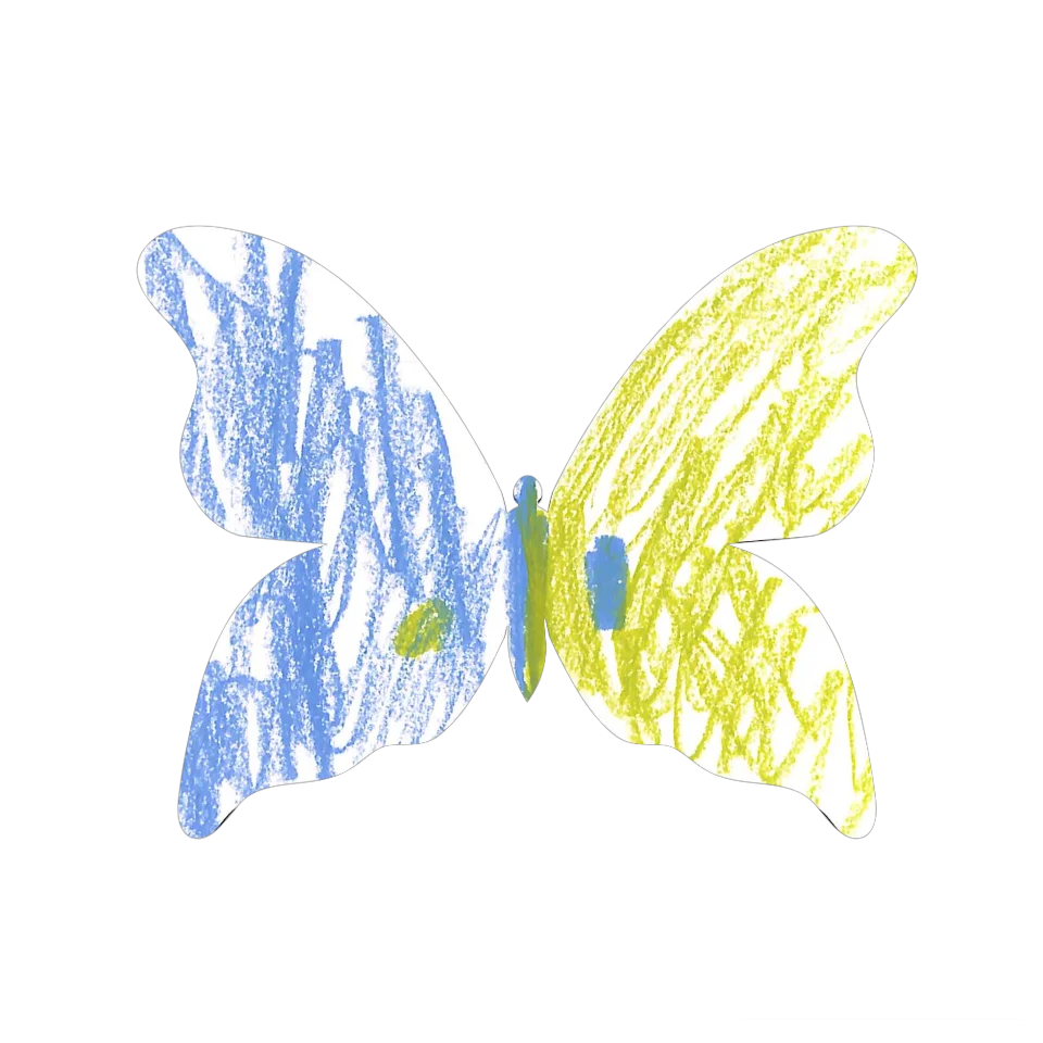 Original Butterfly Image