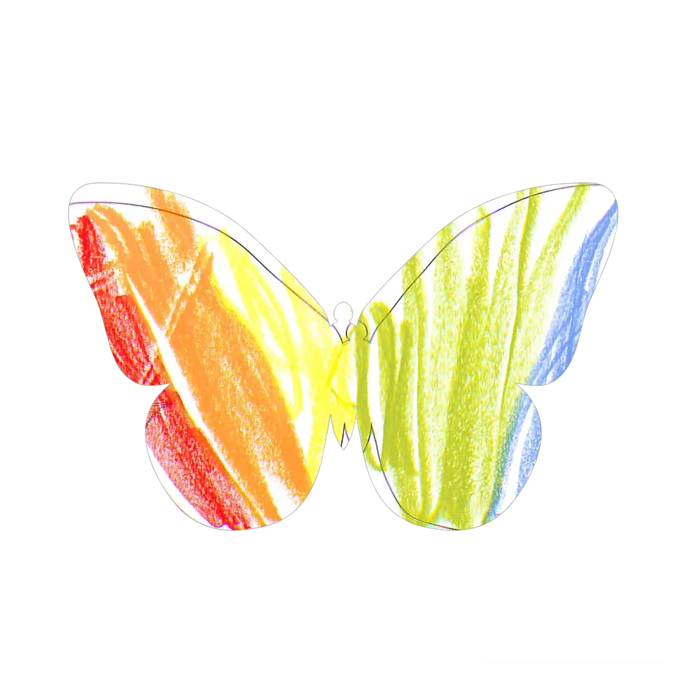 Original Butterfly Image