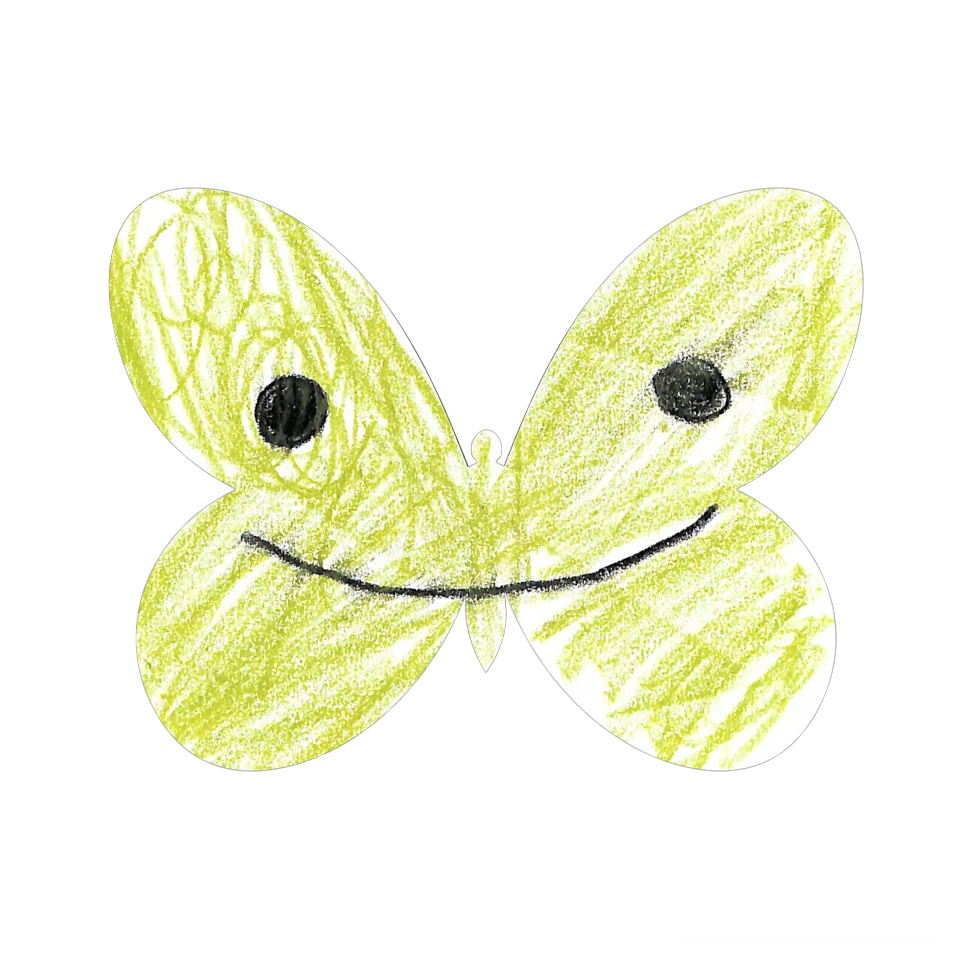 Original Butterfly Image