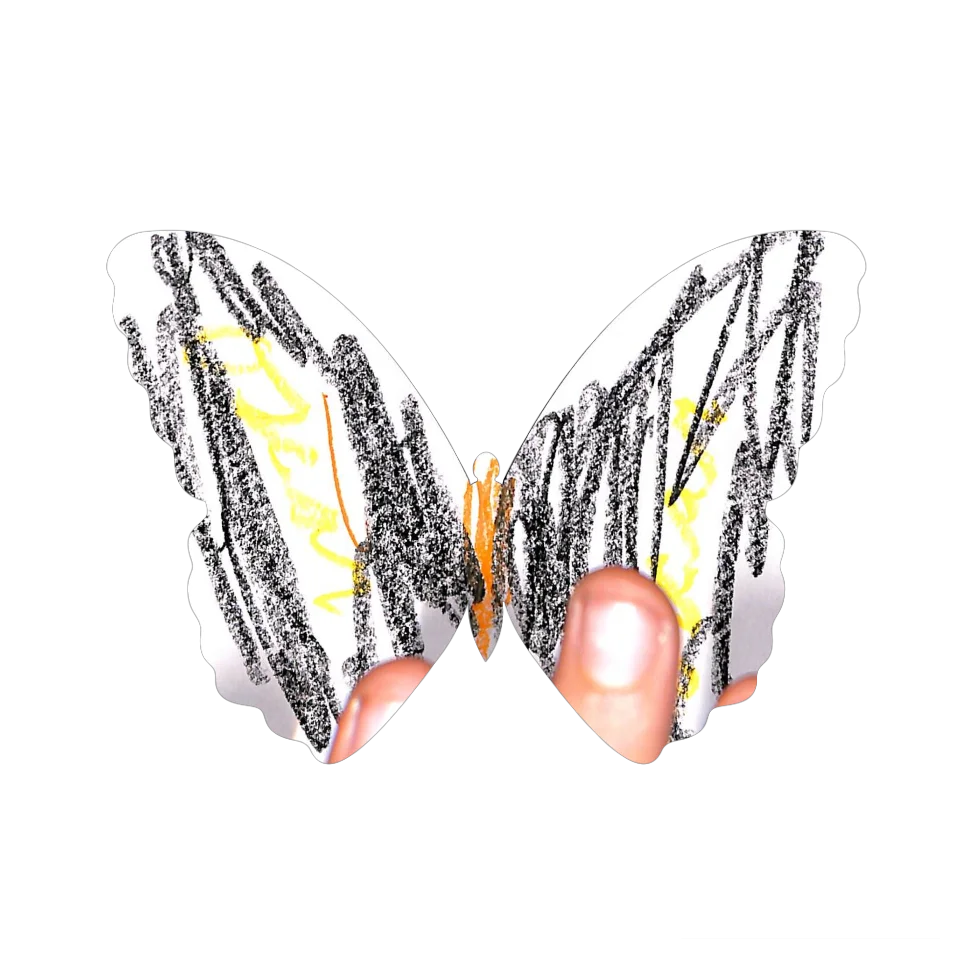 Original Butterfly Image