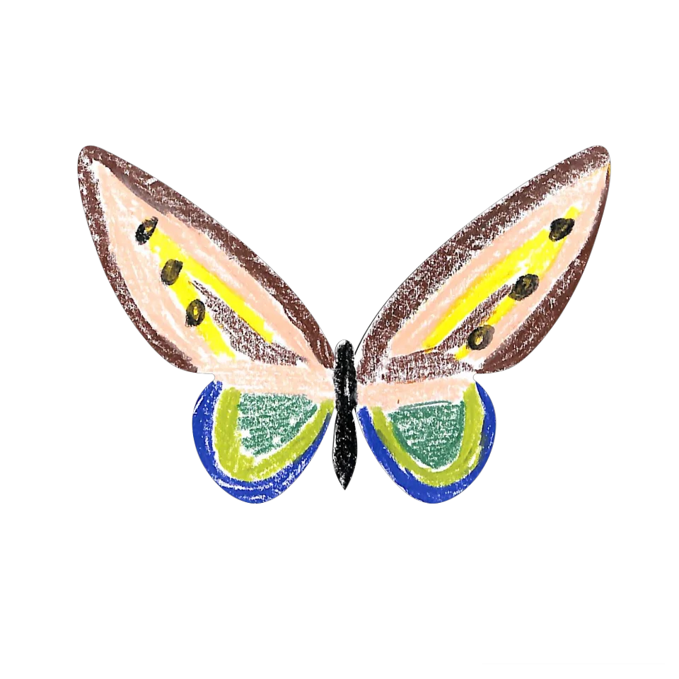 Original Butterfly Image