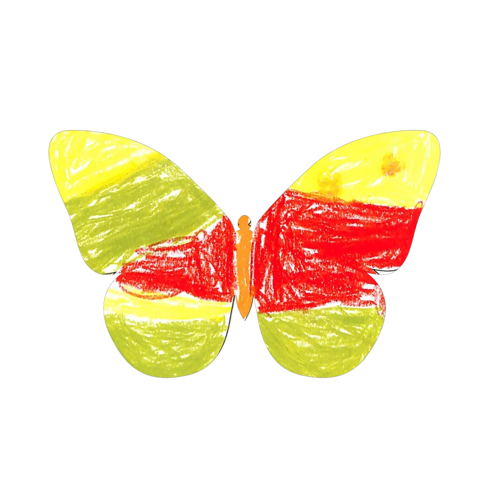 Original Butterfly Image