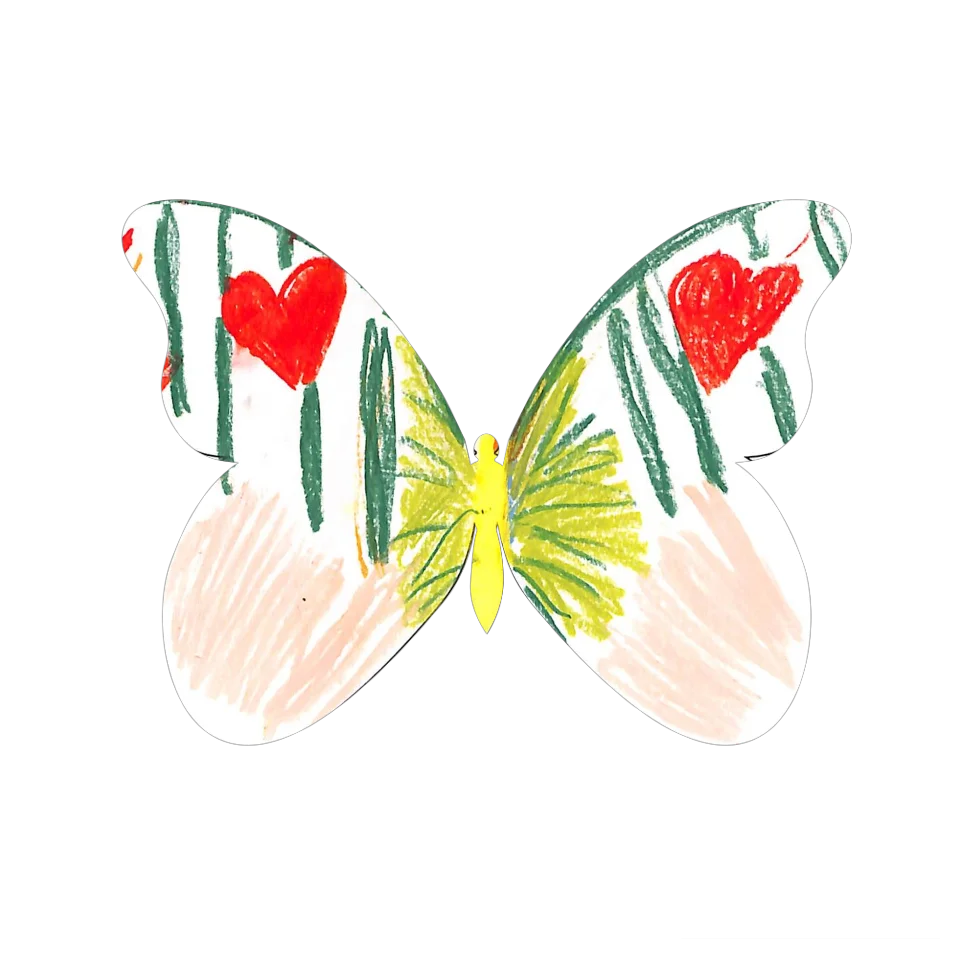 Original Butterfly Image
