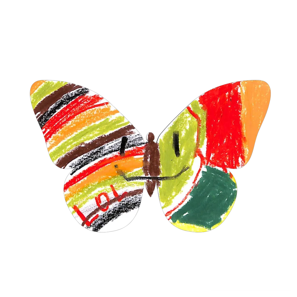 Original Butterfly Image