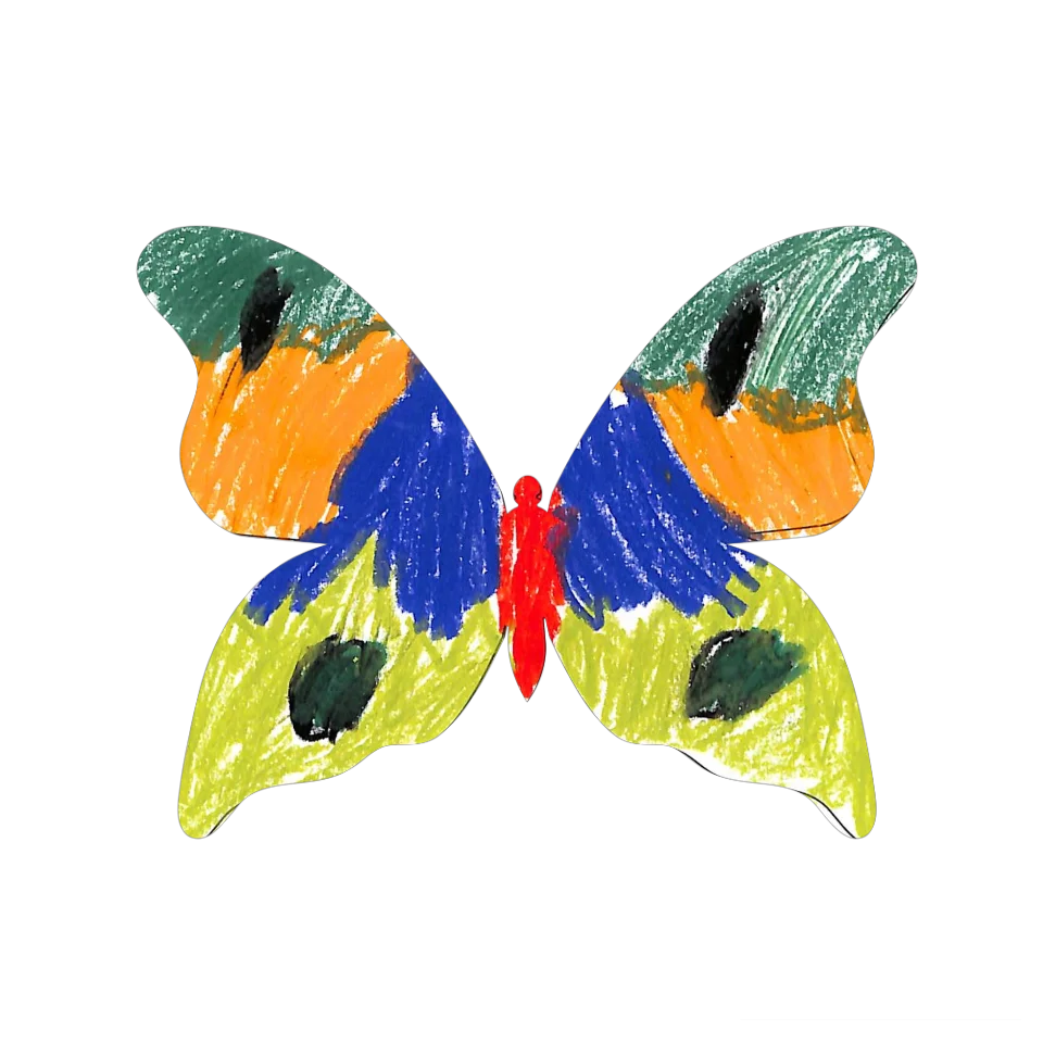 Original Butterfly Image