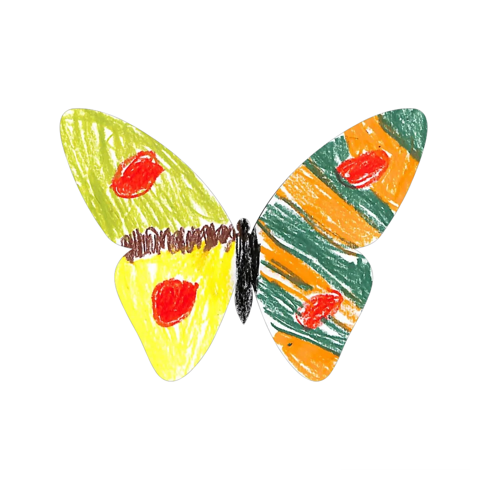 Original Butterfly Image