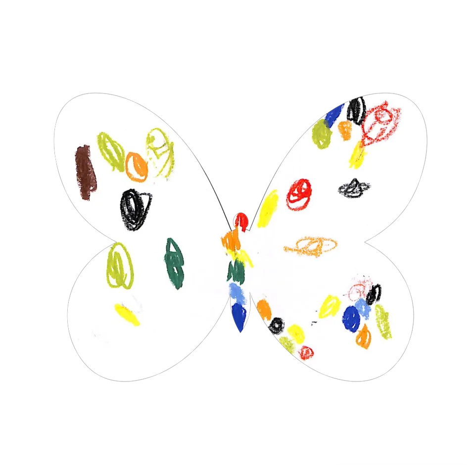 Original Butterfly Image