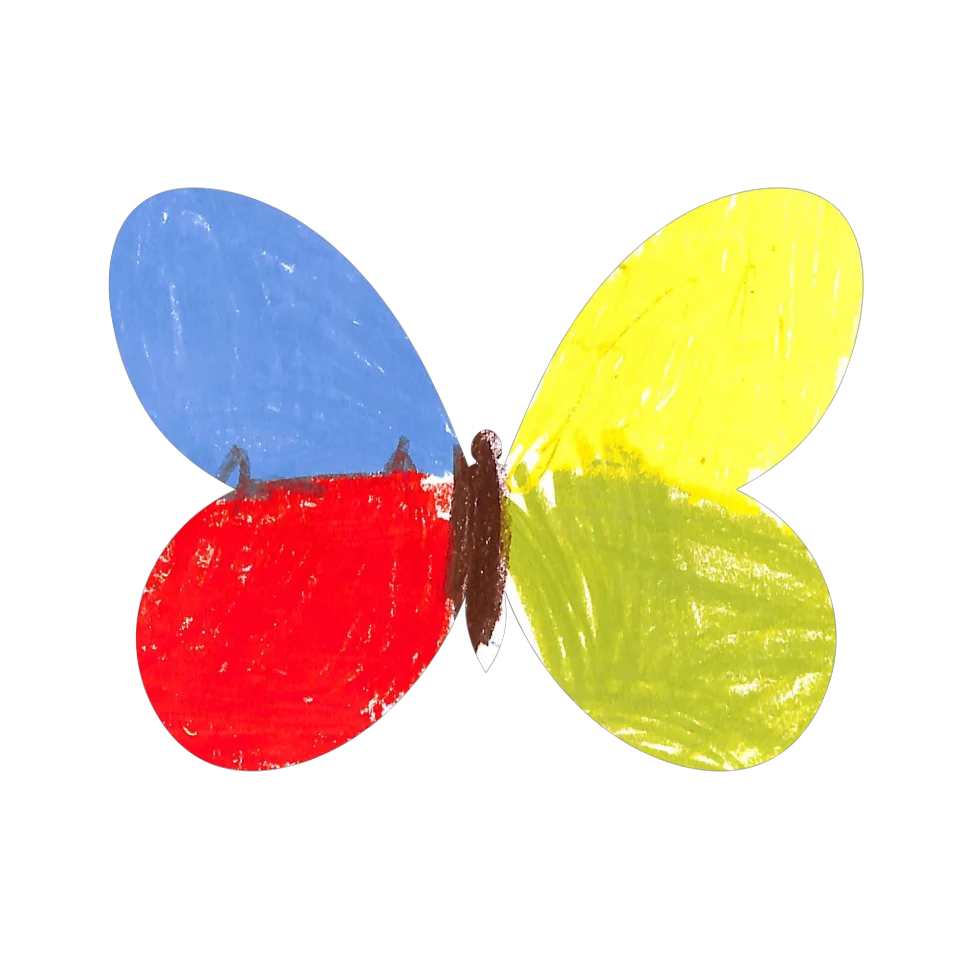 Original Butterfly Image