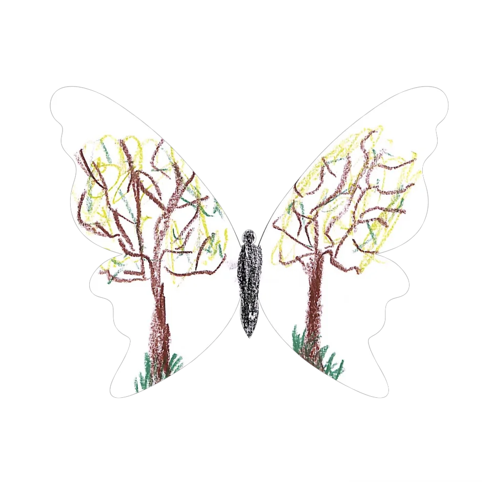 Original Butterfly Image