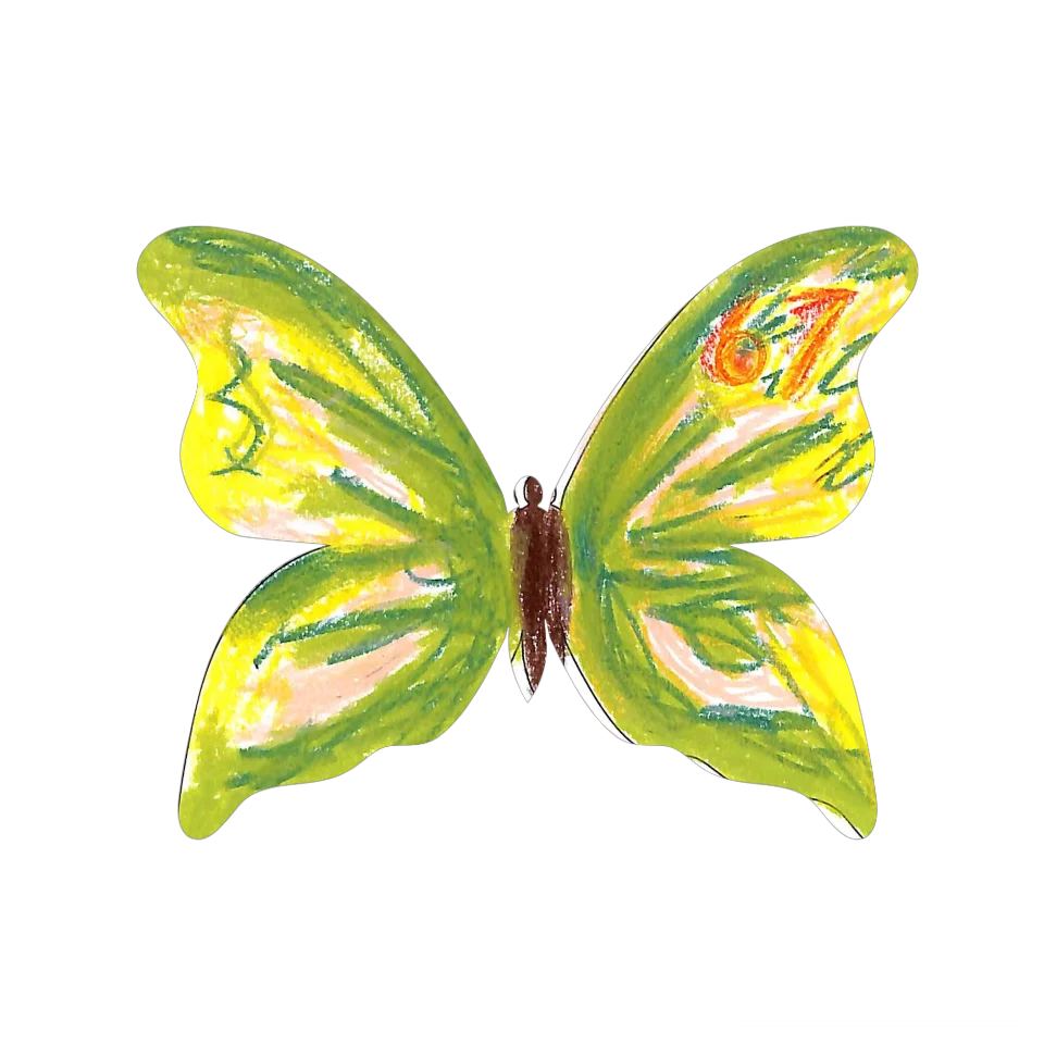 Original Butterfly Image
