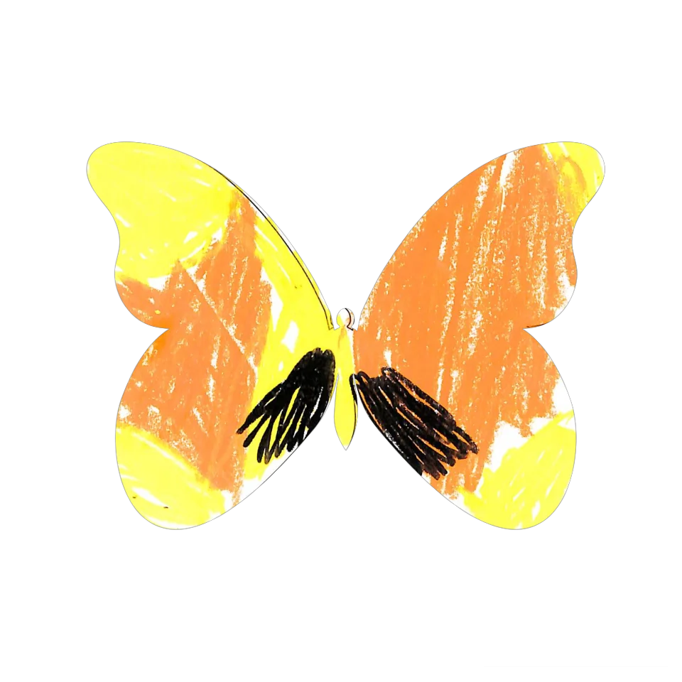 Original Butterfly Image