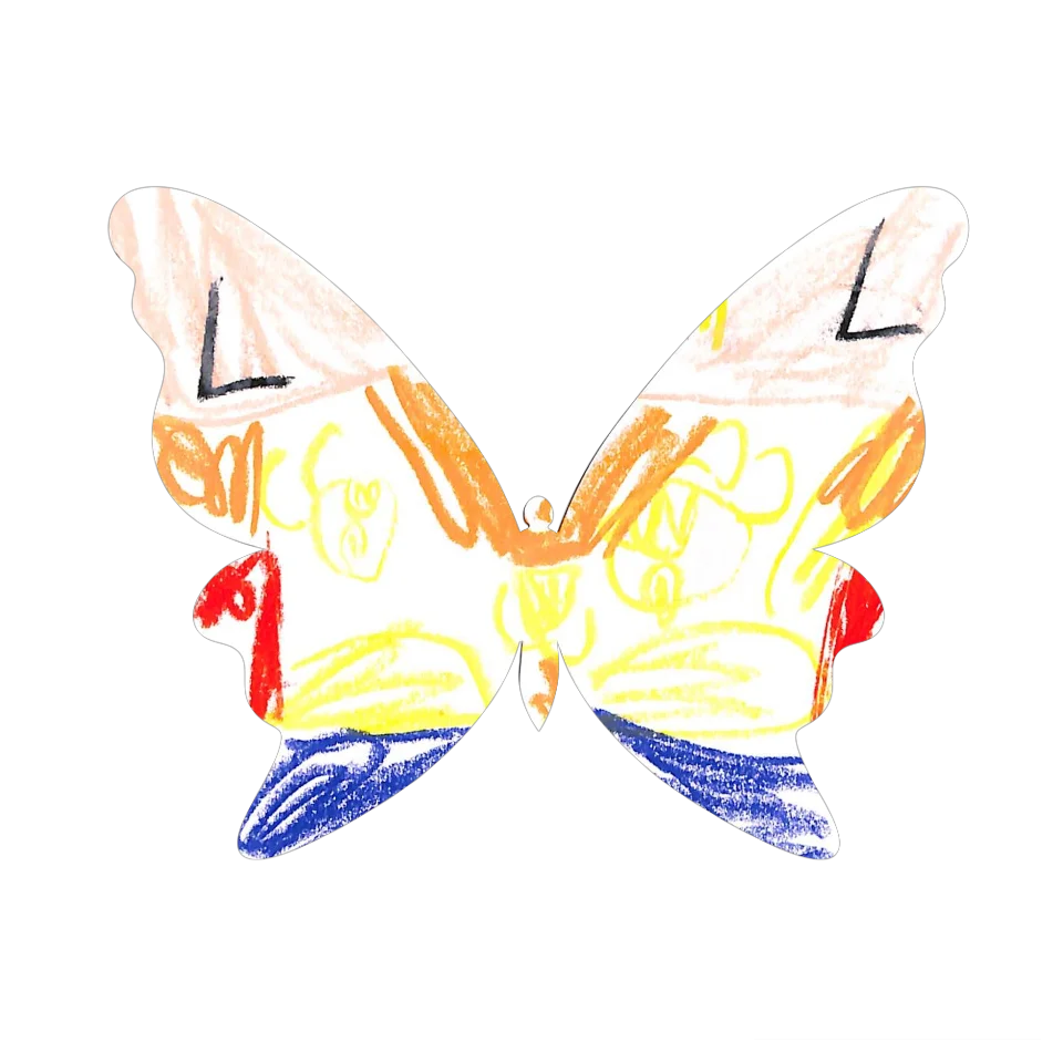 Original Butterfly Image
