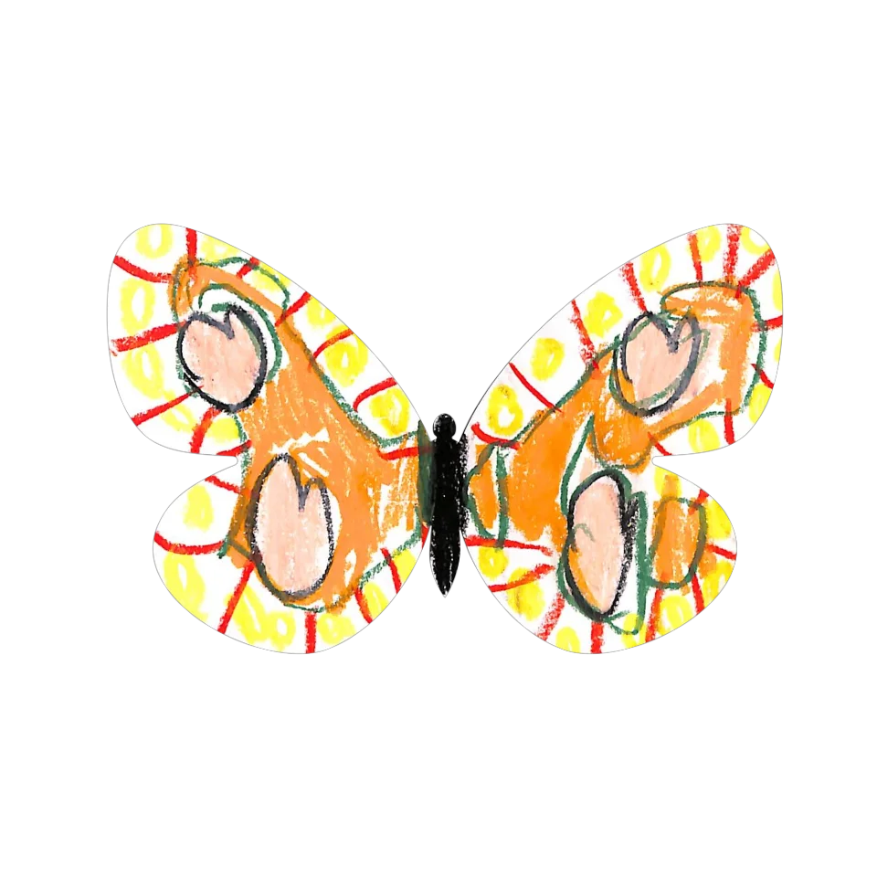 Original Butterfly Image