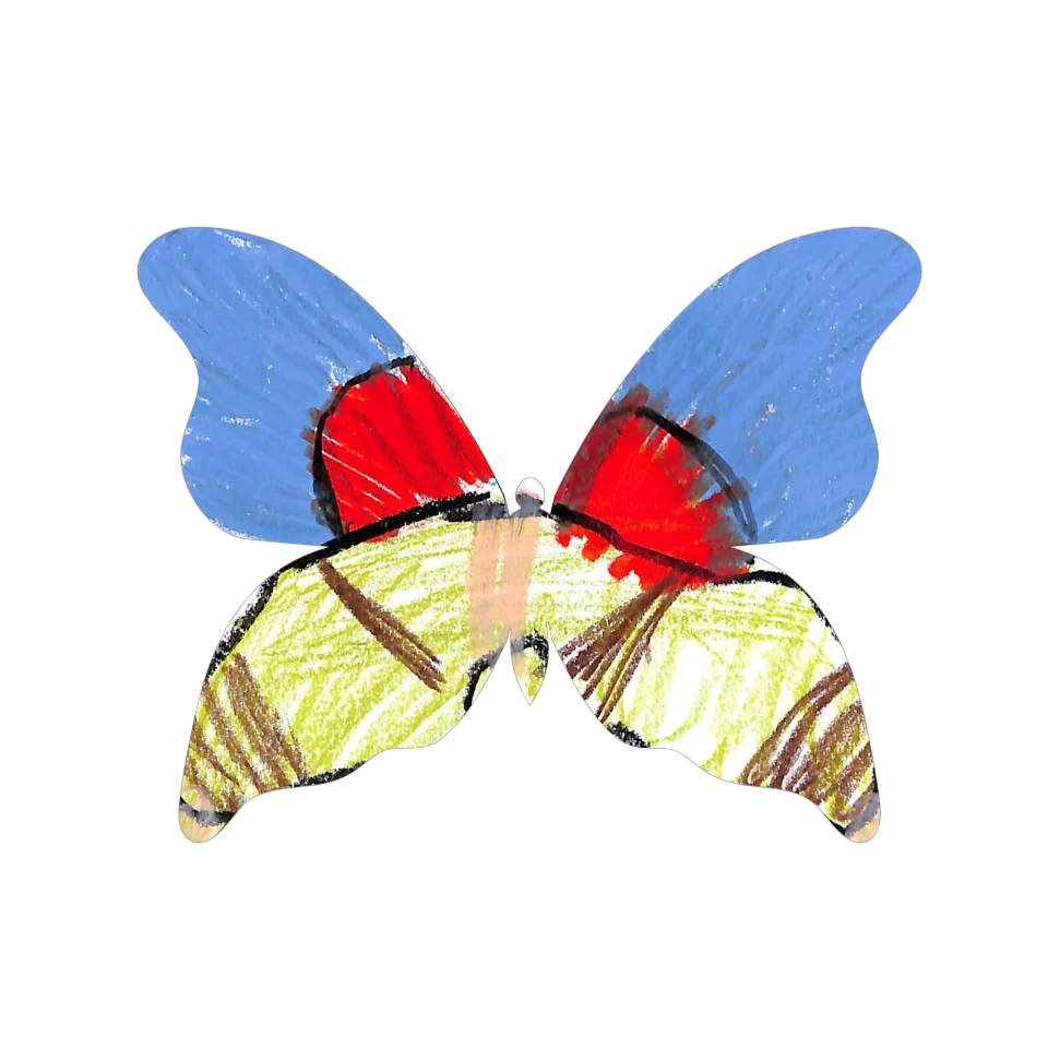 Original Butterfly Image