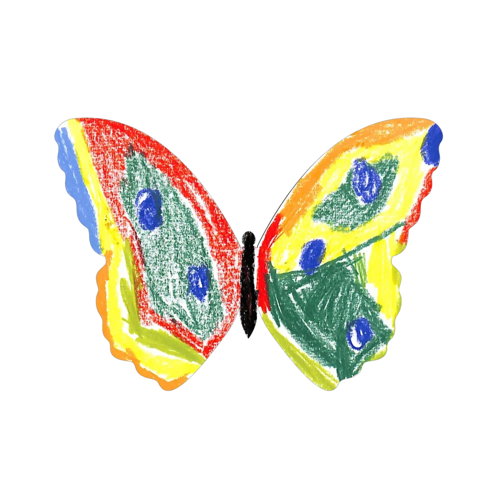 Original Butterfly Image