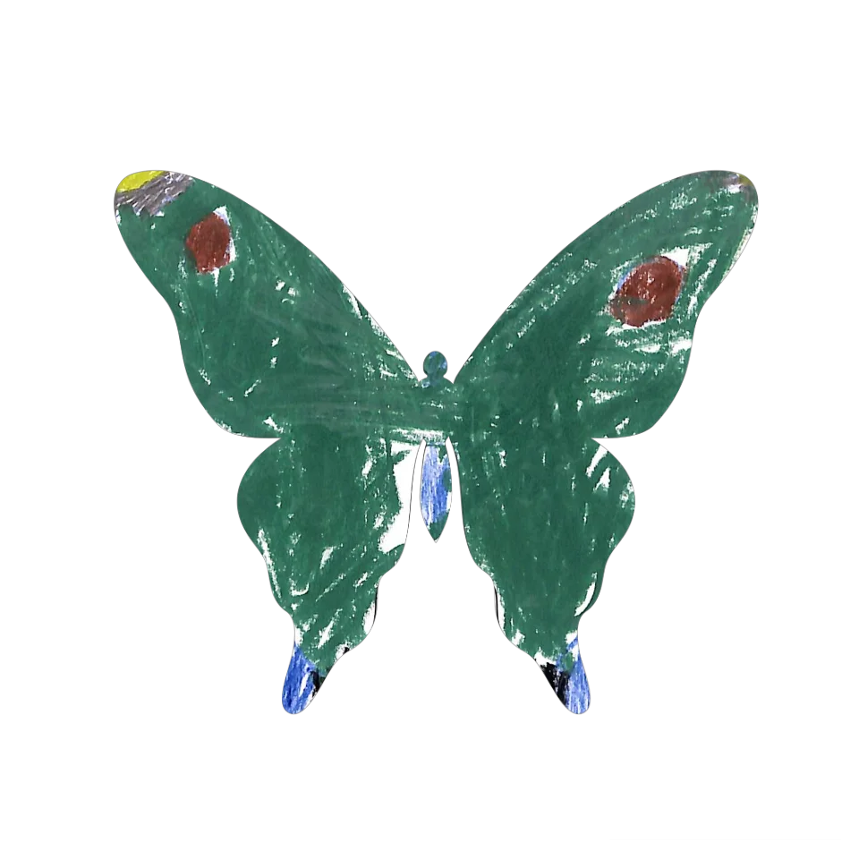 Original Butterfly Image