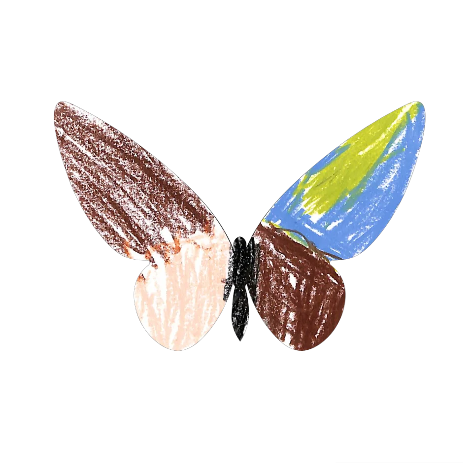 Original Butterfly Image