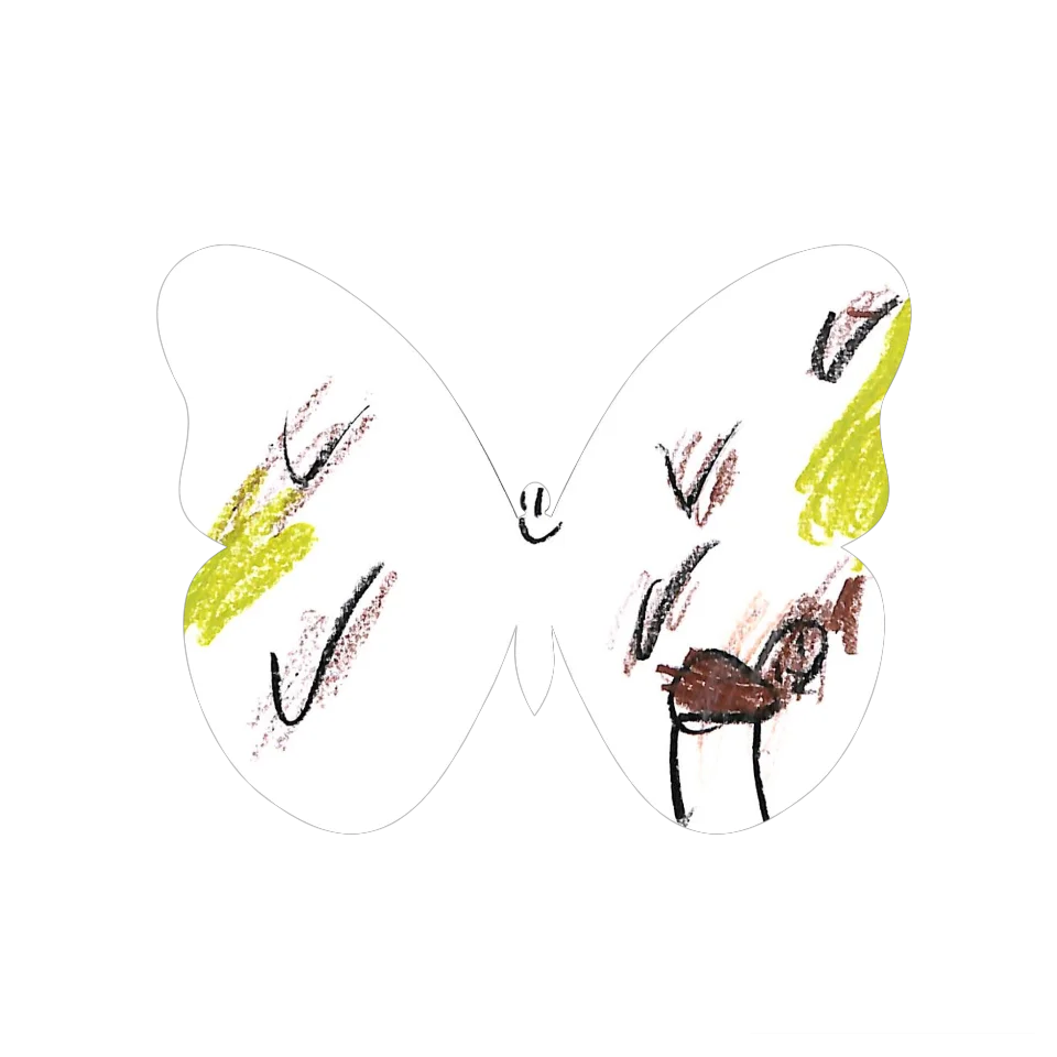 Original Butterfly Image
