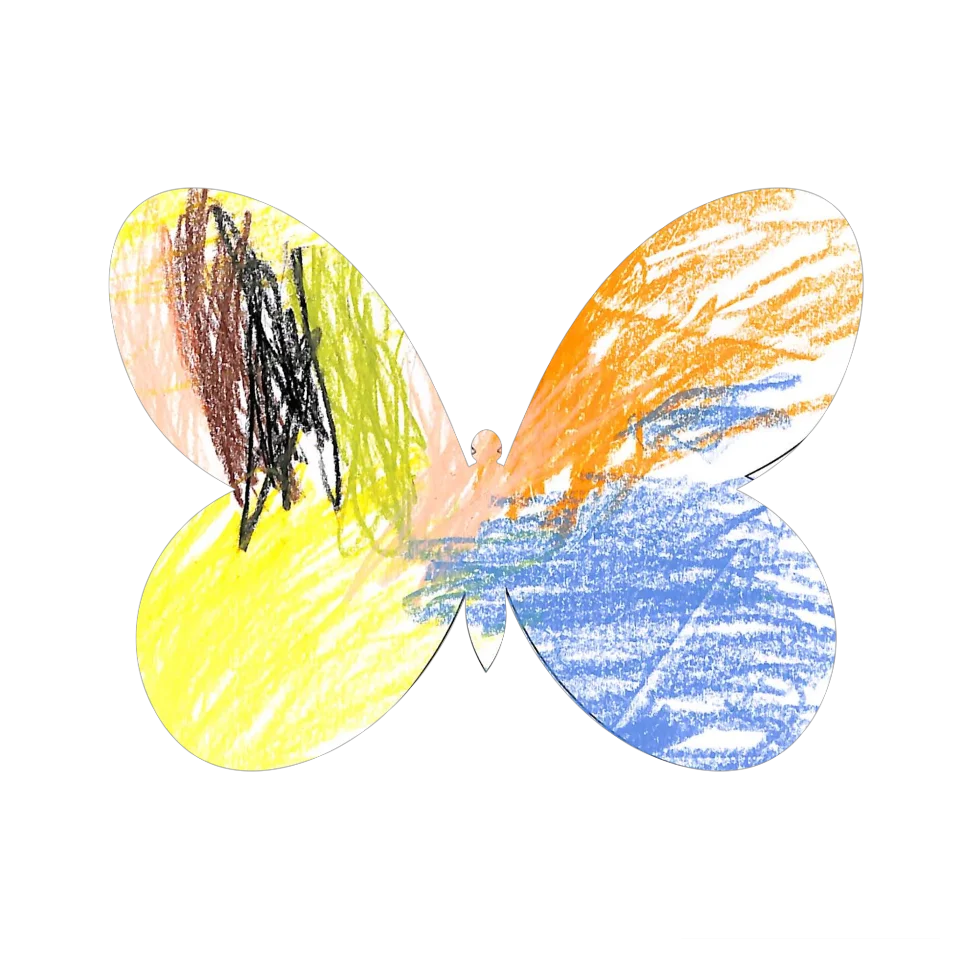 Original Butterfly Image