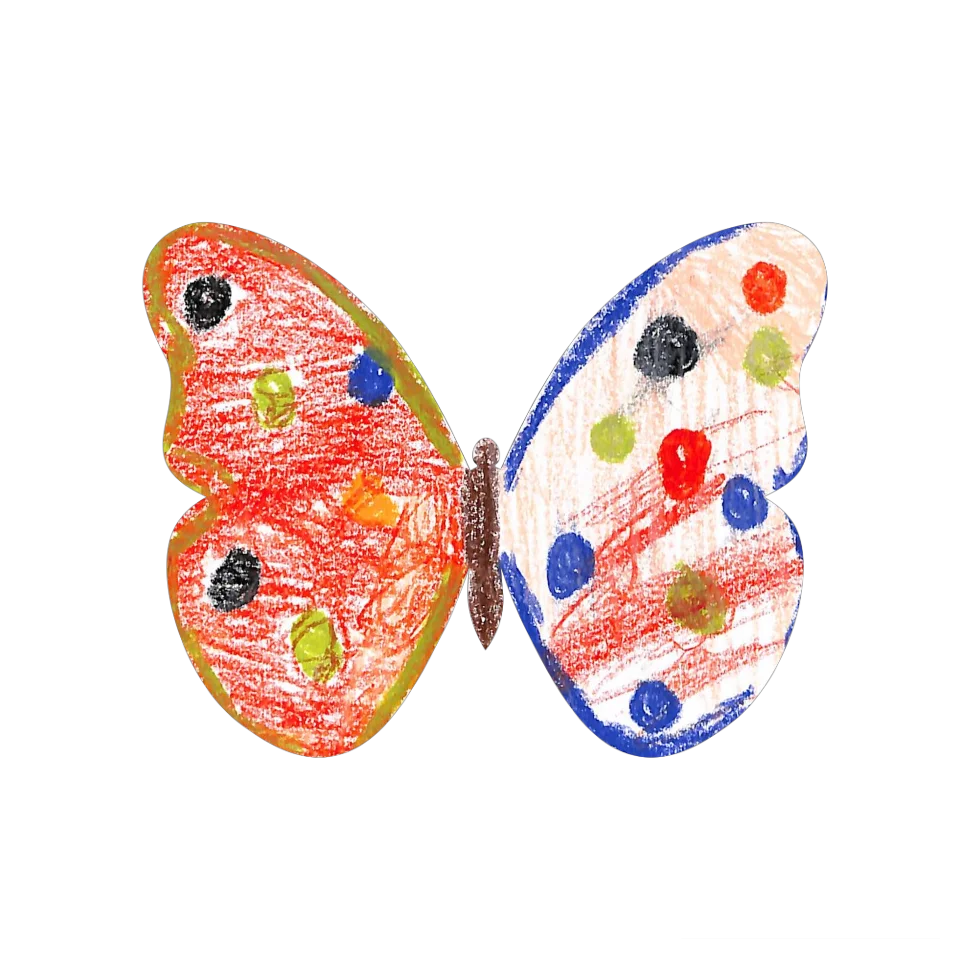 Original Butterfly Image