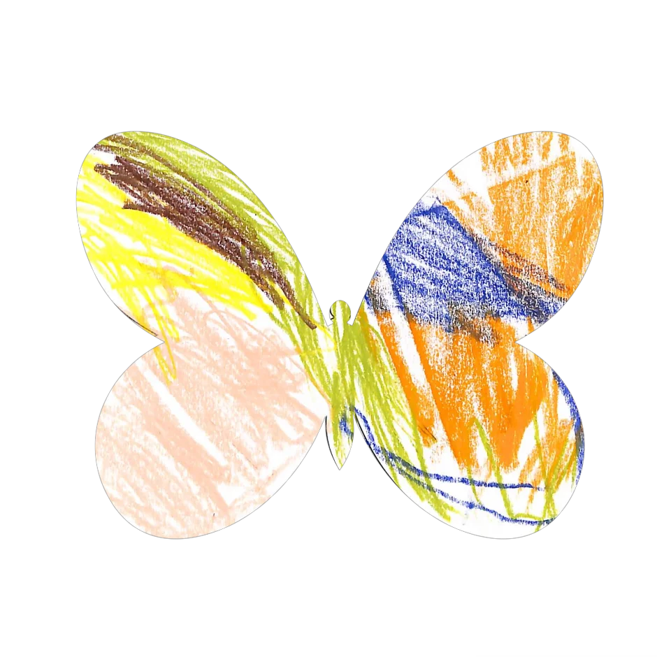 Original Butterfly Image