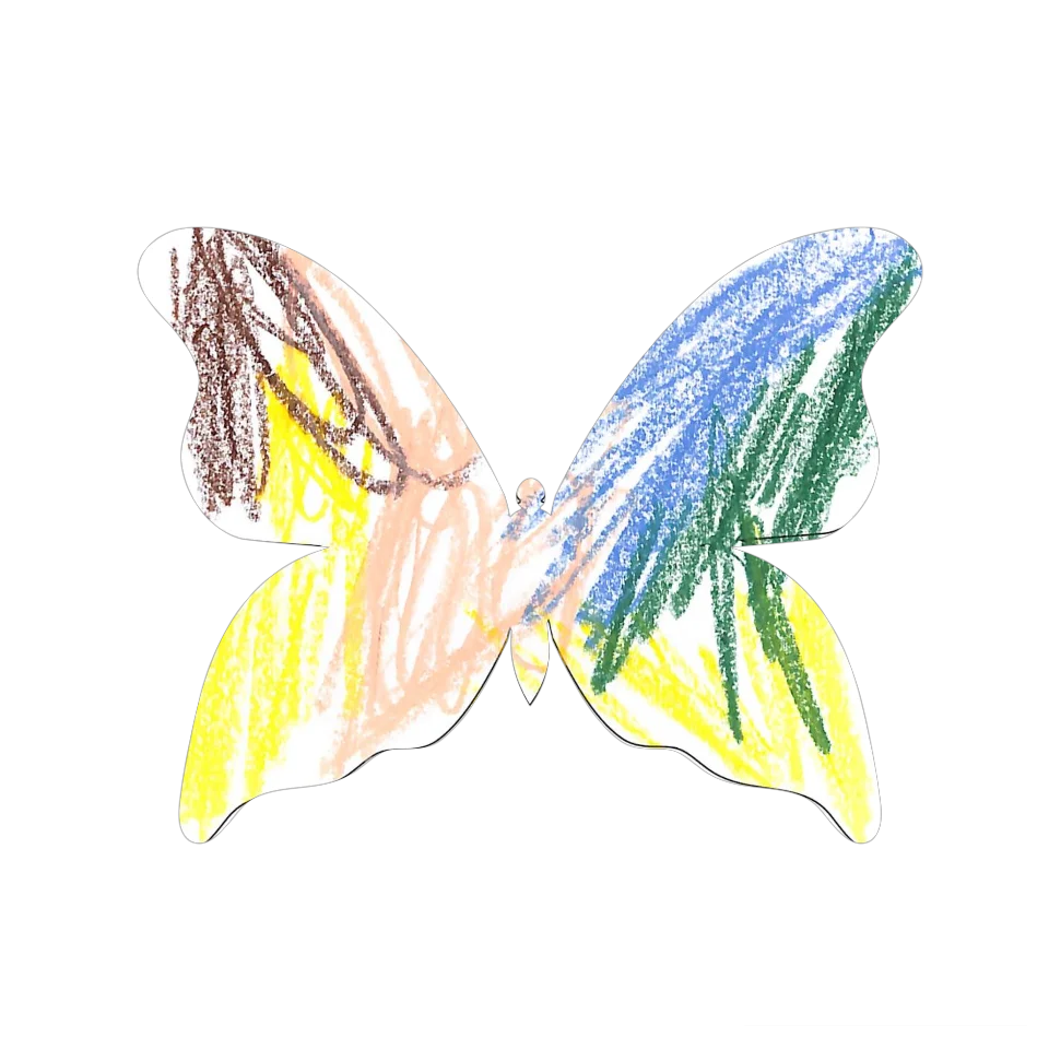 Original Butterfly Image
