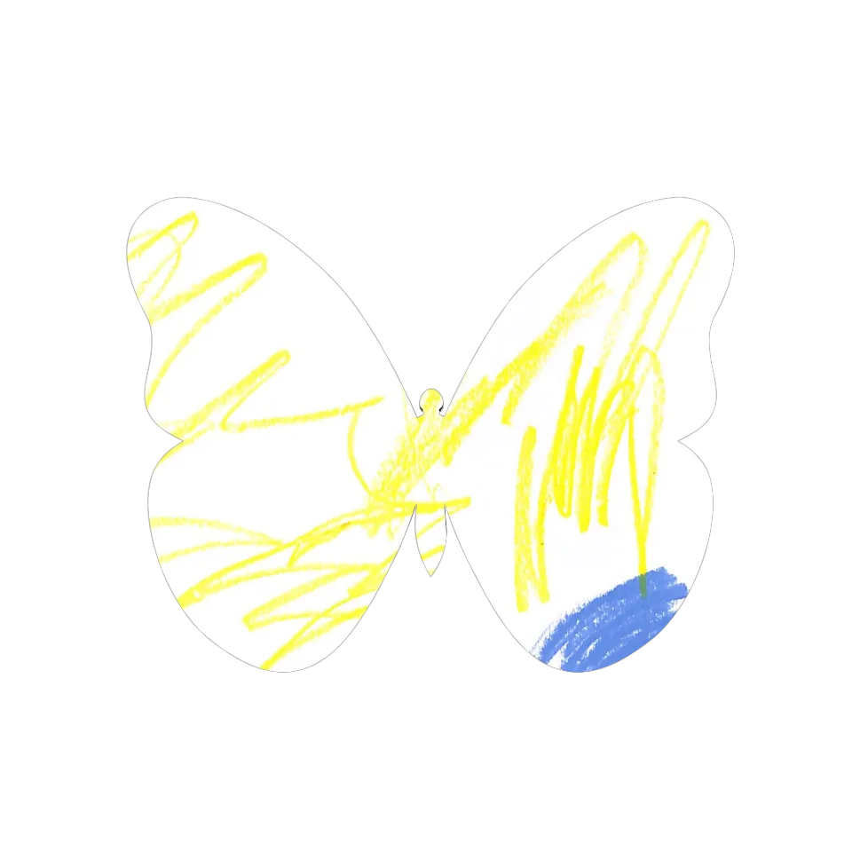 Original Butterfly Image
