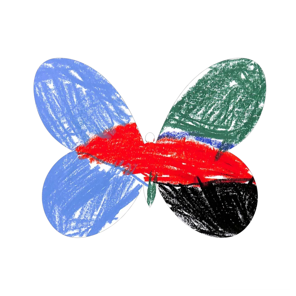 Original Butterfly Image