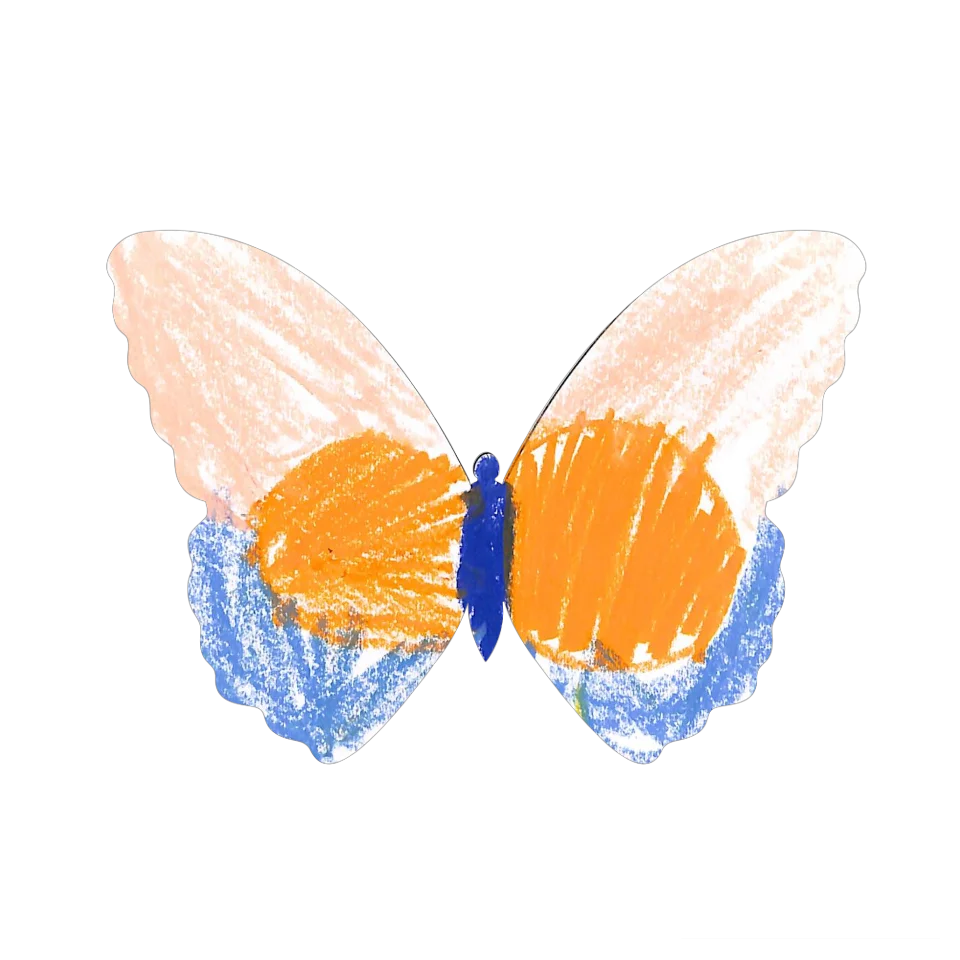 Original Butterfly Image