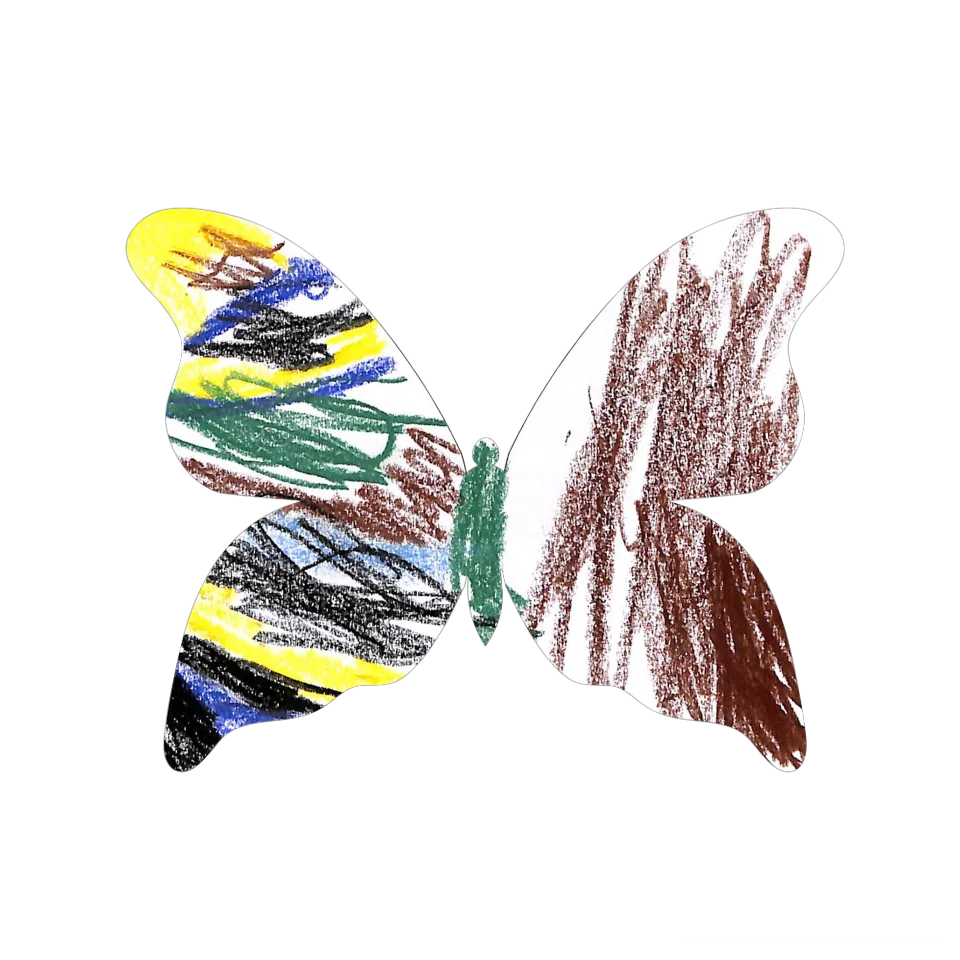 Original Butterfly Image