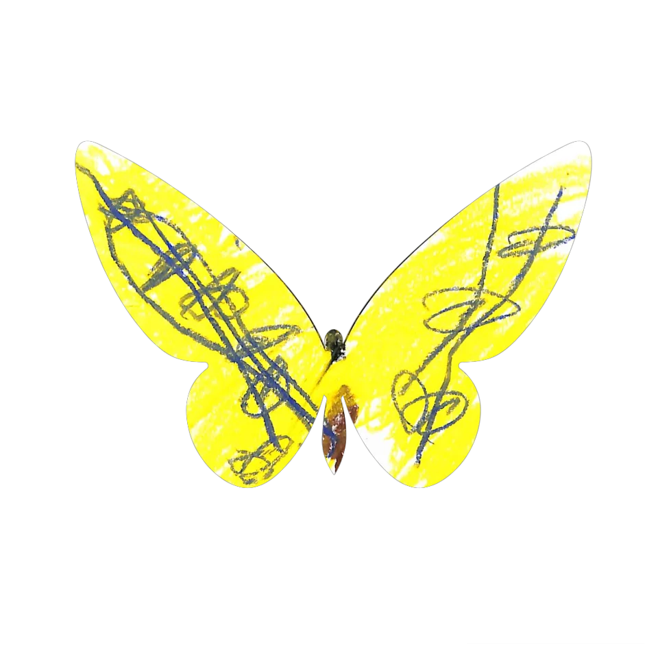 Original Butterfly Image