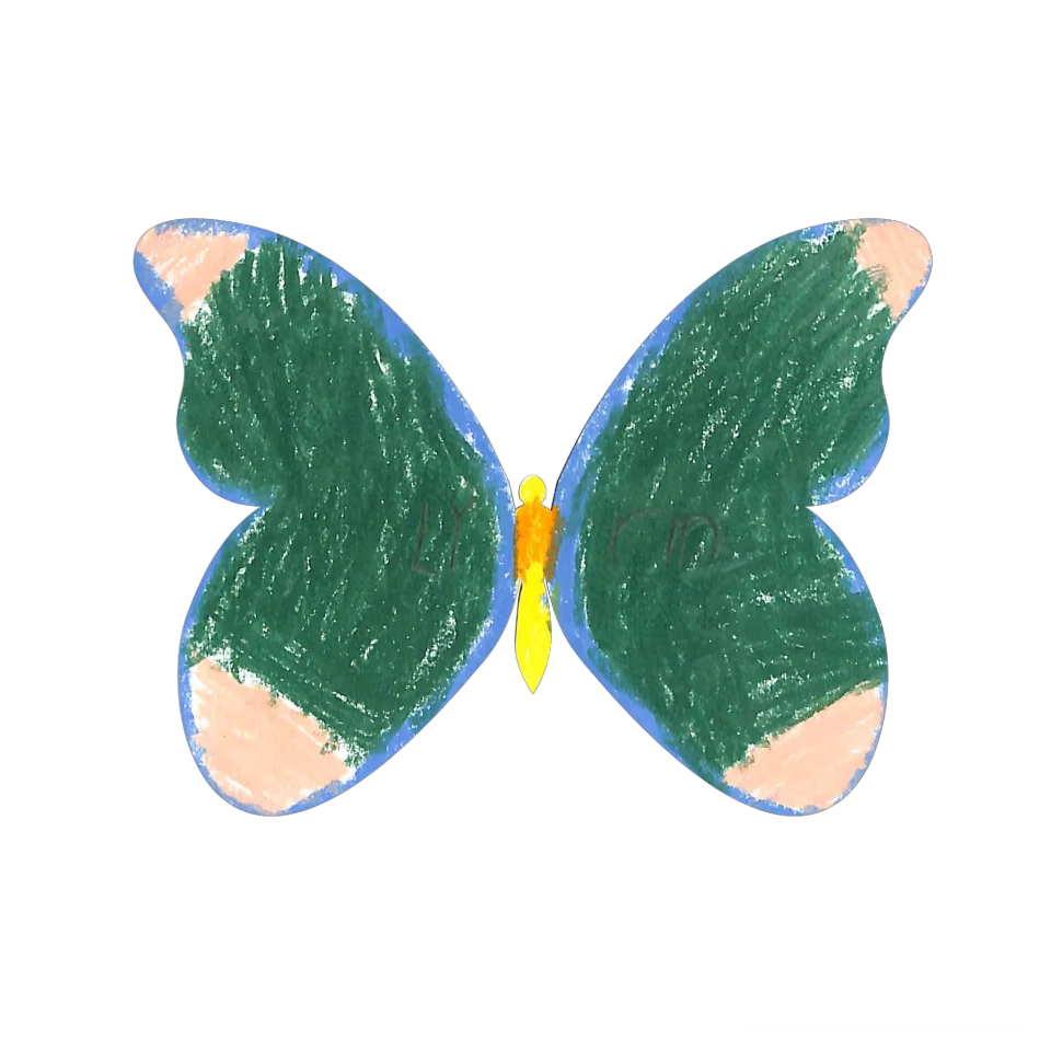 Original Butterfly Image