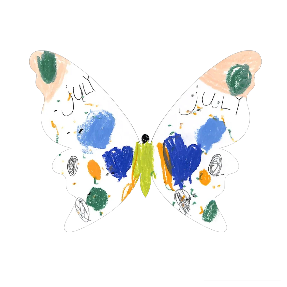 Original Butterfly Image