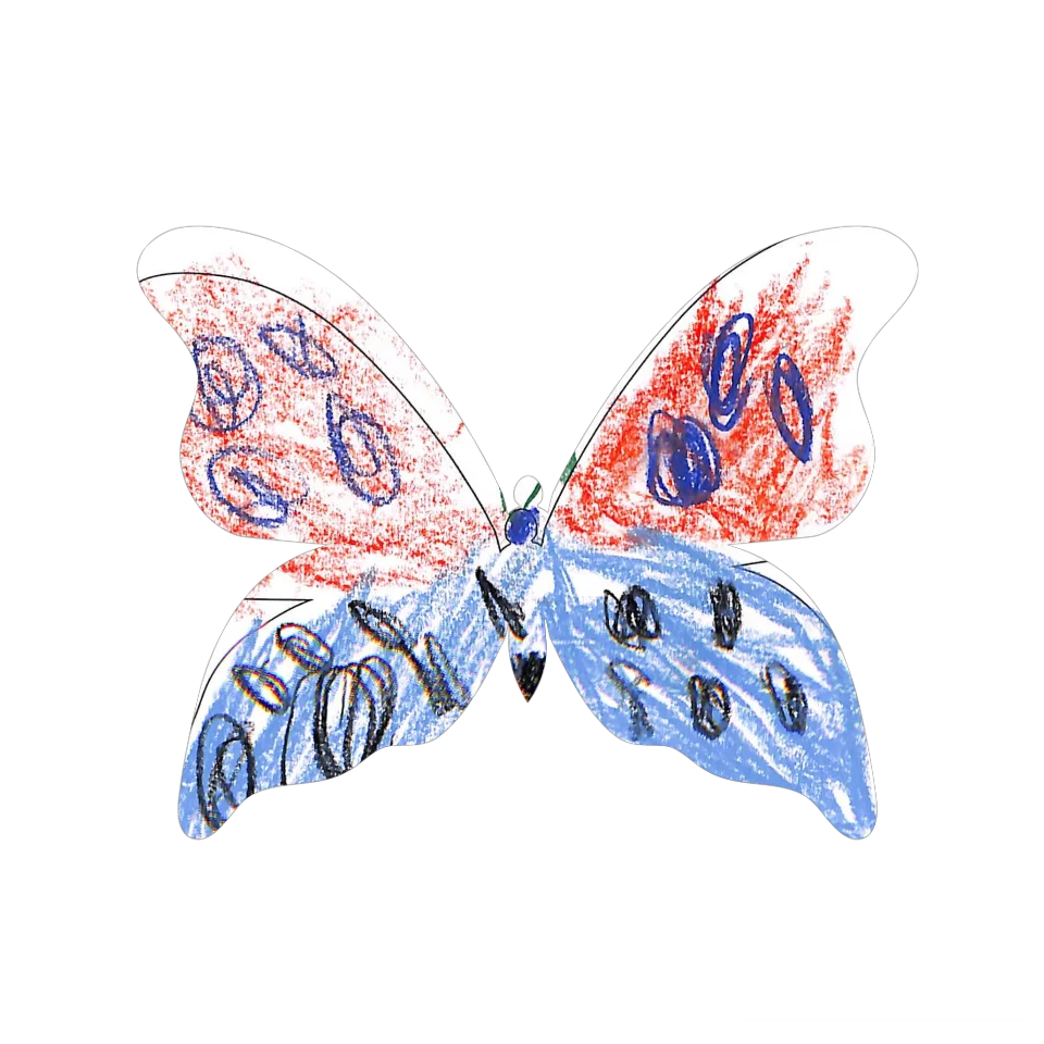 Original Butterfly Image